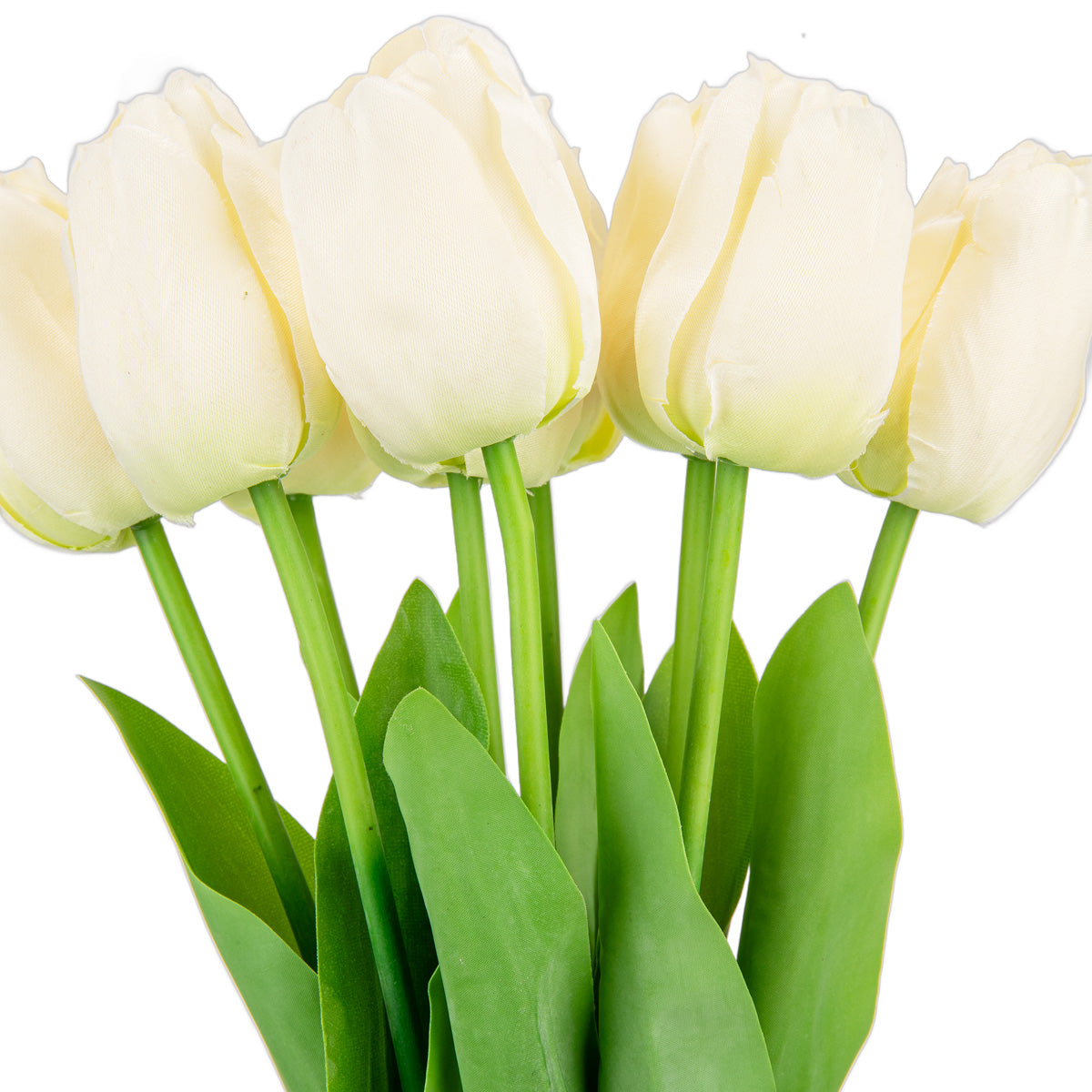 Tulip Bunch x 9 Cream image 2