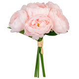 Princess Peony Bunch x 6 Pale Pink image 1