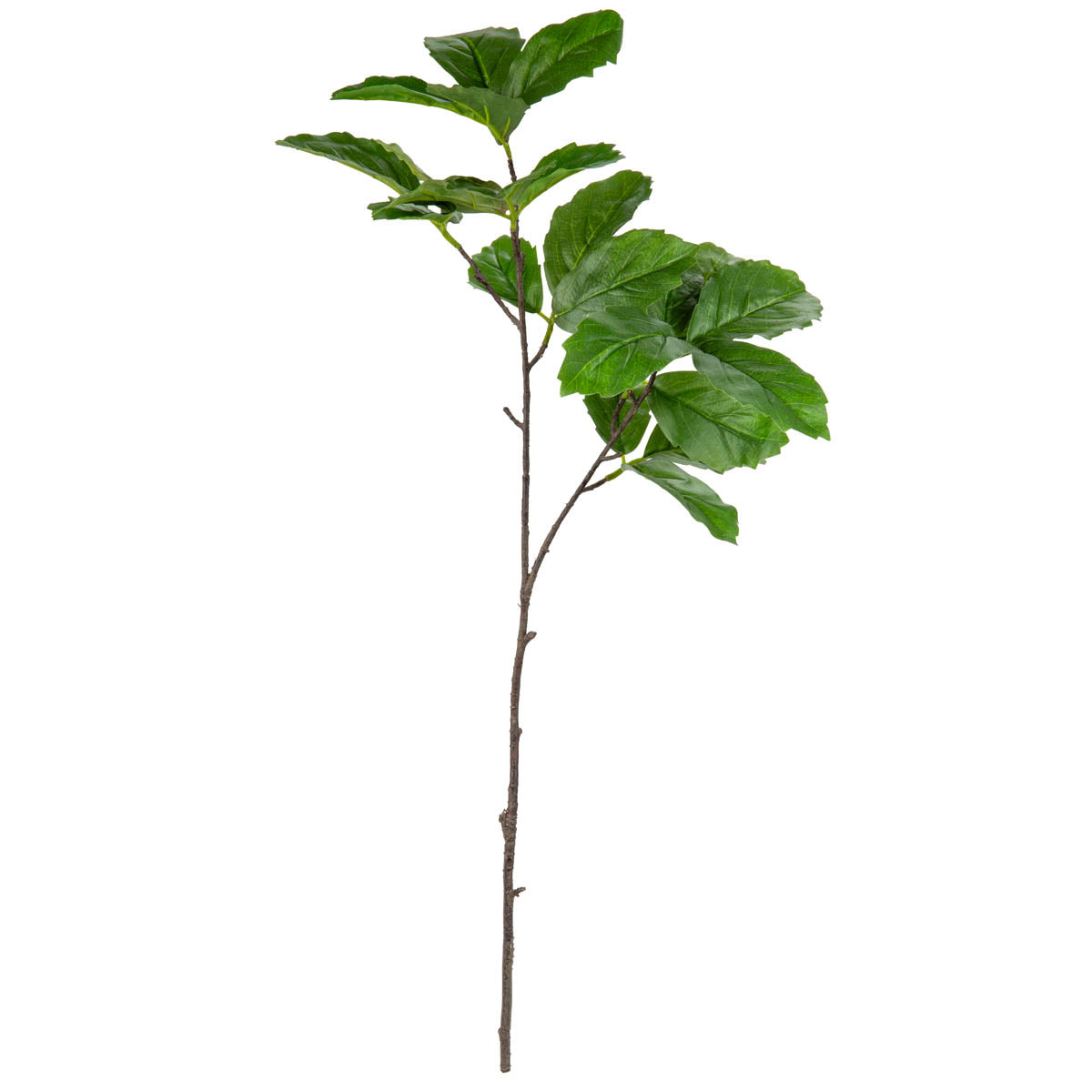 Wild Grape Leaf Spray Green image 0