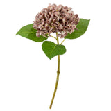 Small Head Hydrangea Dusky Pink image 1