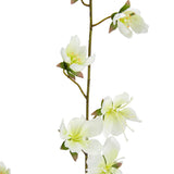 Clematis Spray x 2 White image 1