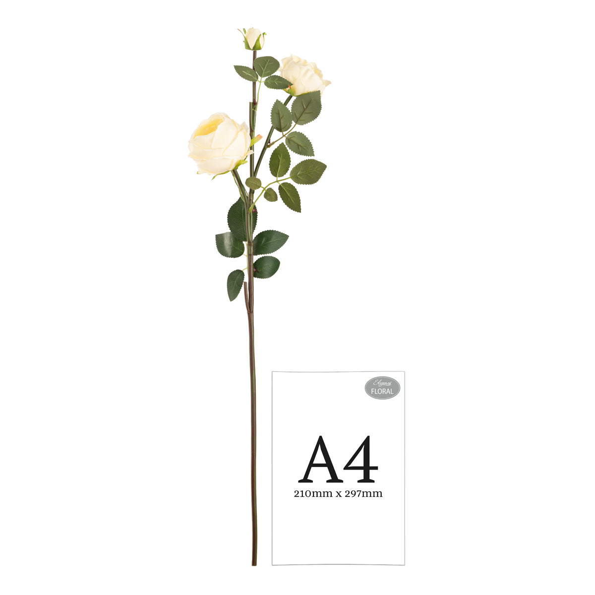 Elizabeth Garden Rose Spray x 3 Wheat image 1