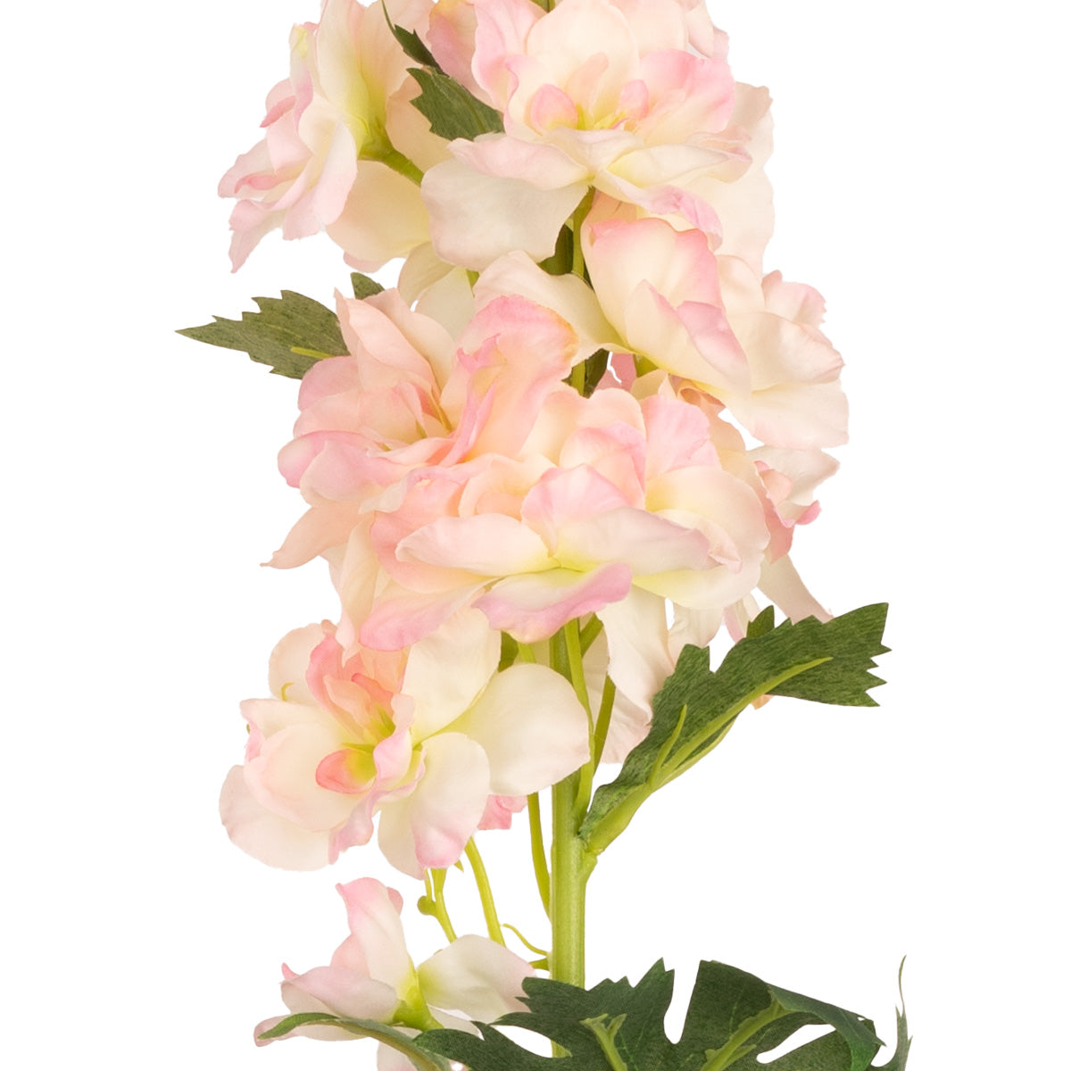 Delphinium x 26 Heads 106cm Pink image 2