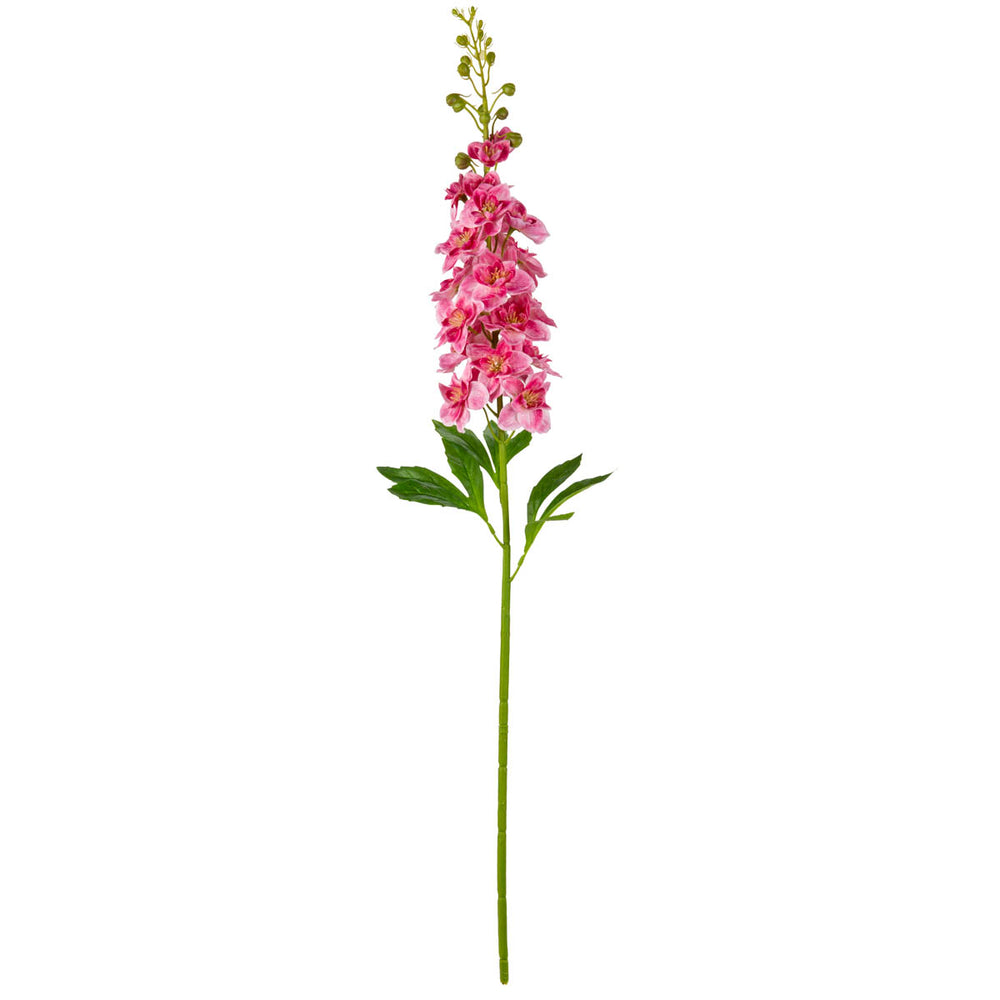 Delphinium Stem Dark Pink image 0