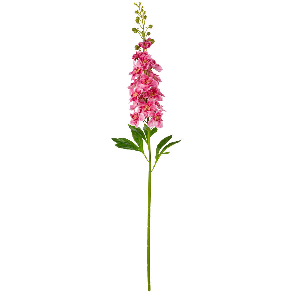 Delphinium Stem Dark Pink image 0