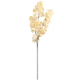 Blossom Spray Cream image 0