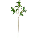 Magnolia Leaf Spray Green image 0