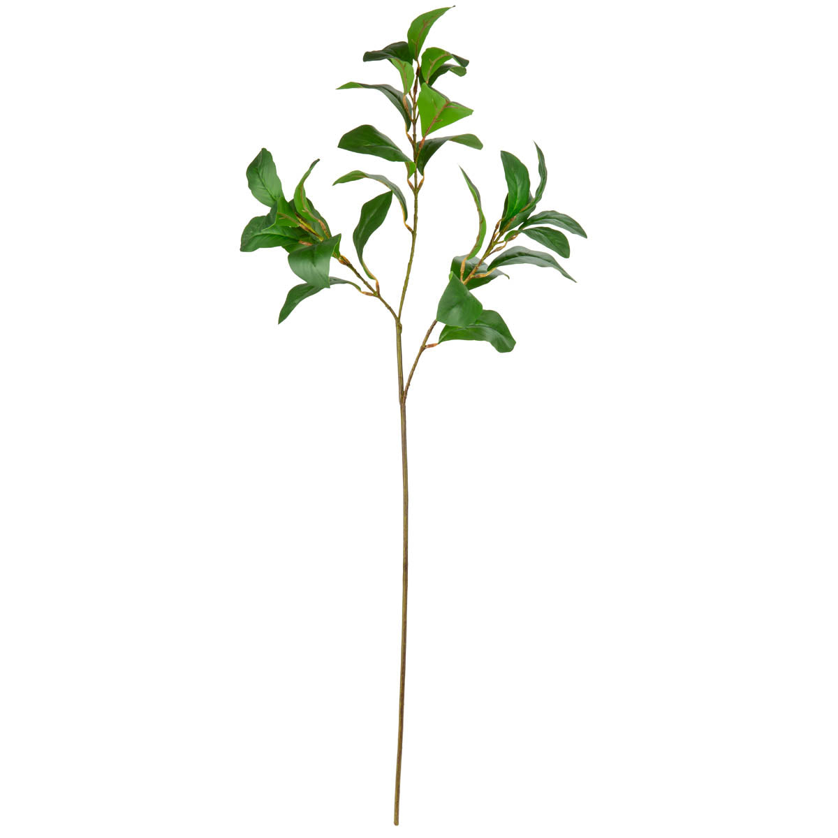 Magnolia Leaf Spray Green image 0