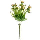Rosebud Bush Cream image 2