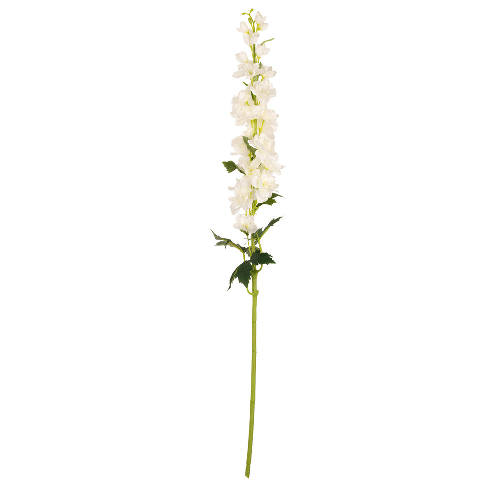 Delphinium x 26 Heads 106cm Cream image 0
