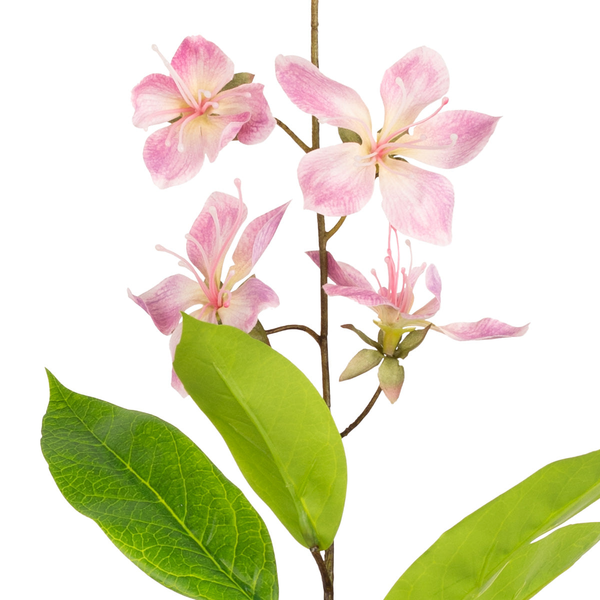 Clematis Spray (78cm) Pink image 2