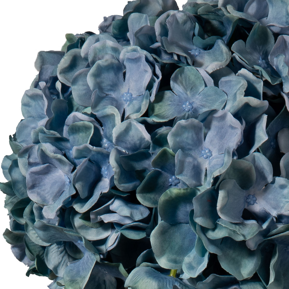 Large Head Hydrangea Blue Green 92cm image 2
