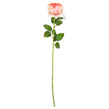 65cm Single Rose Peach image 0