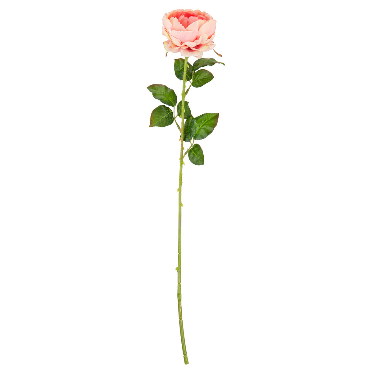 65cm Single Rose Peach image 0