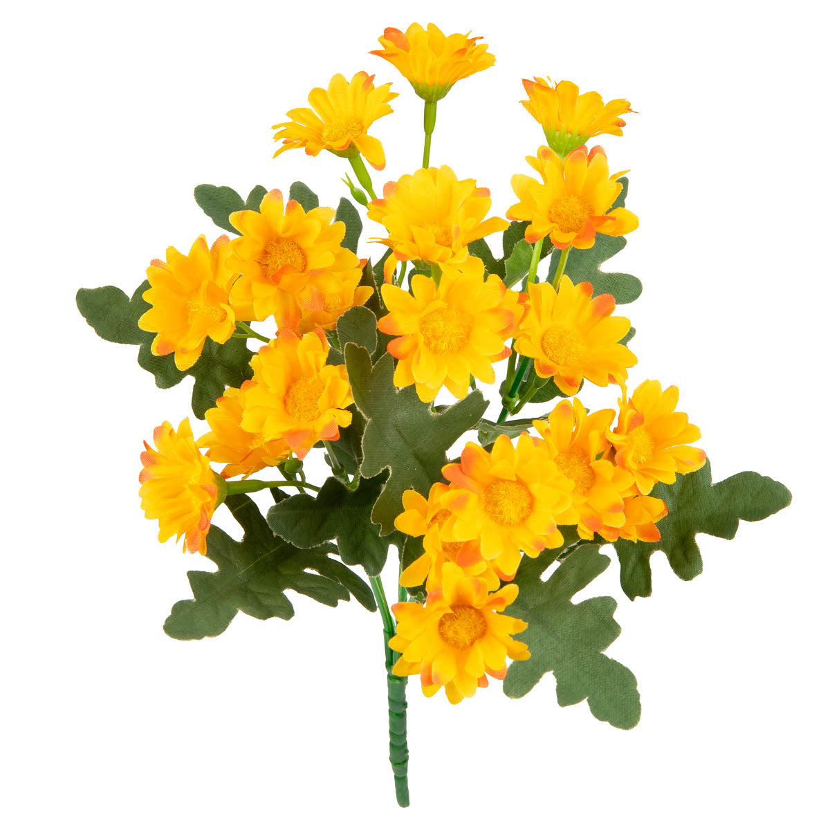 Daisy Bush Orange image 1