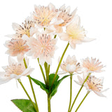 Astrantia Spray 61cm Light Pink image 1