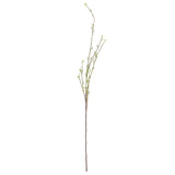 Pussy Willow Spray image 0