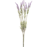 Lavender Bush x 12 Branches image 0
