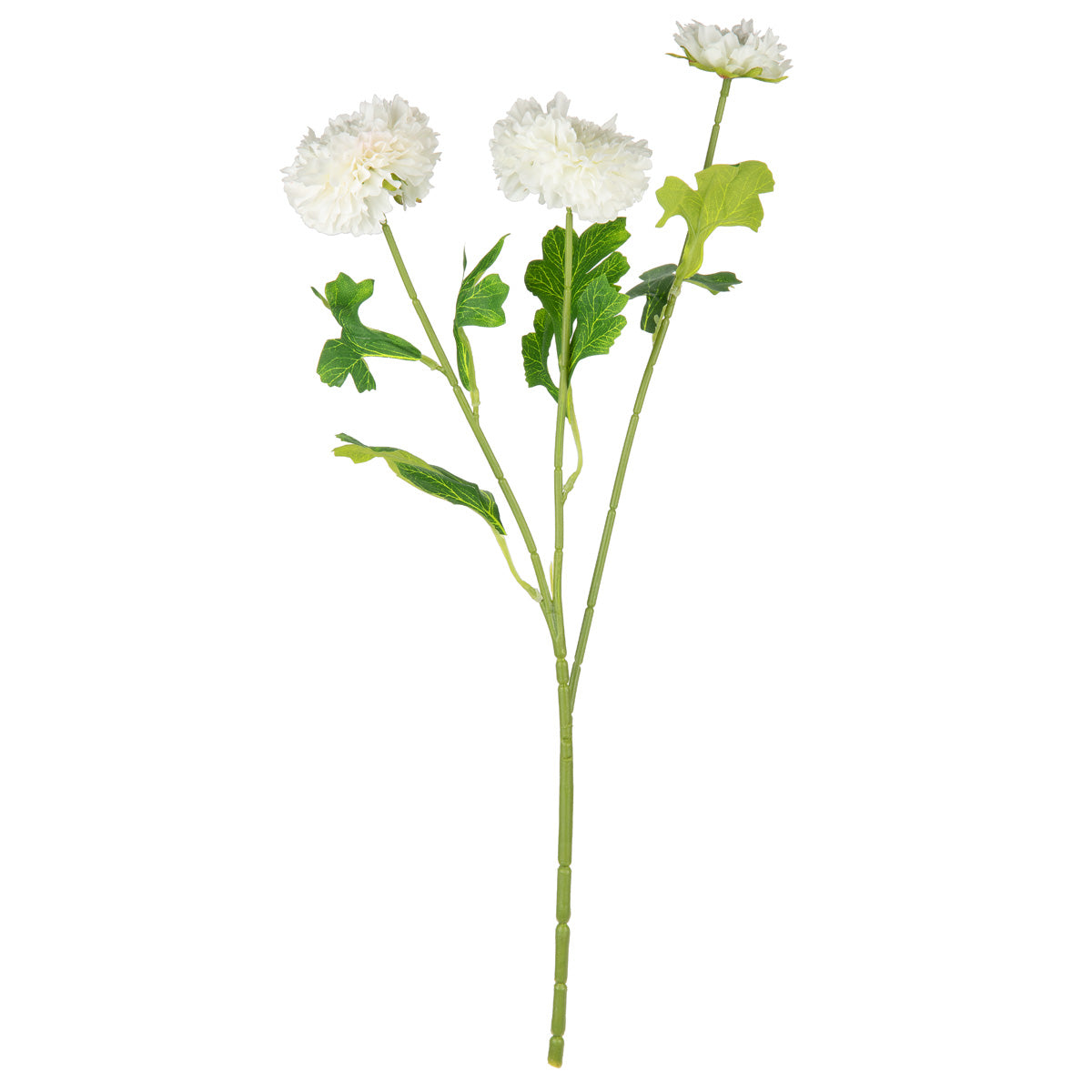 Oriental Aster Spray x 3 White image 0
