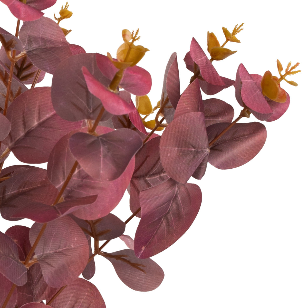 Eucalyptus Bush Burgundy (16 Heads) image 1