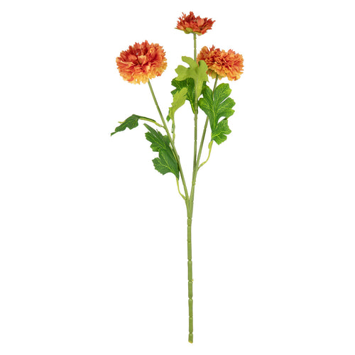 Oriental Aster Spray x 3 Orange image 0