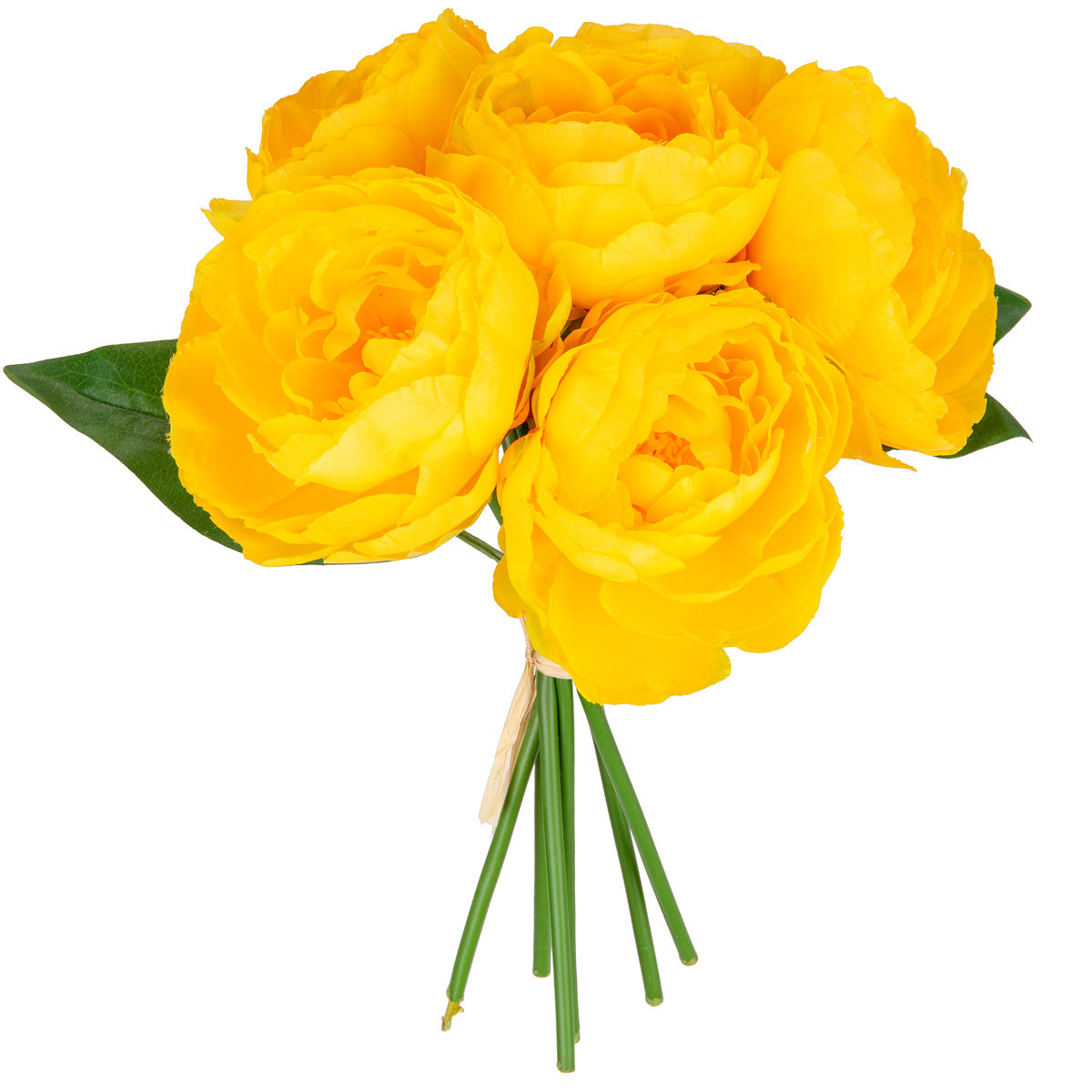 Princess Peony Bunch x 6 Orange image 0