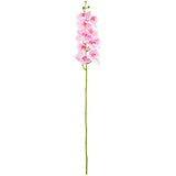 Phalaenopsis Orchid x 9 White Pink image 0