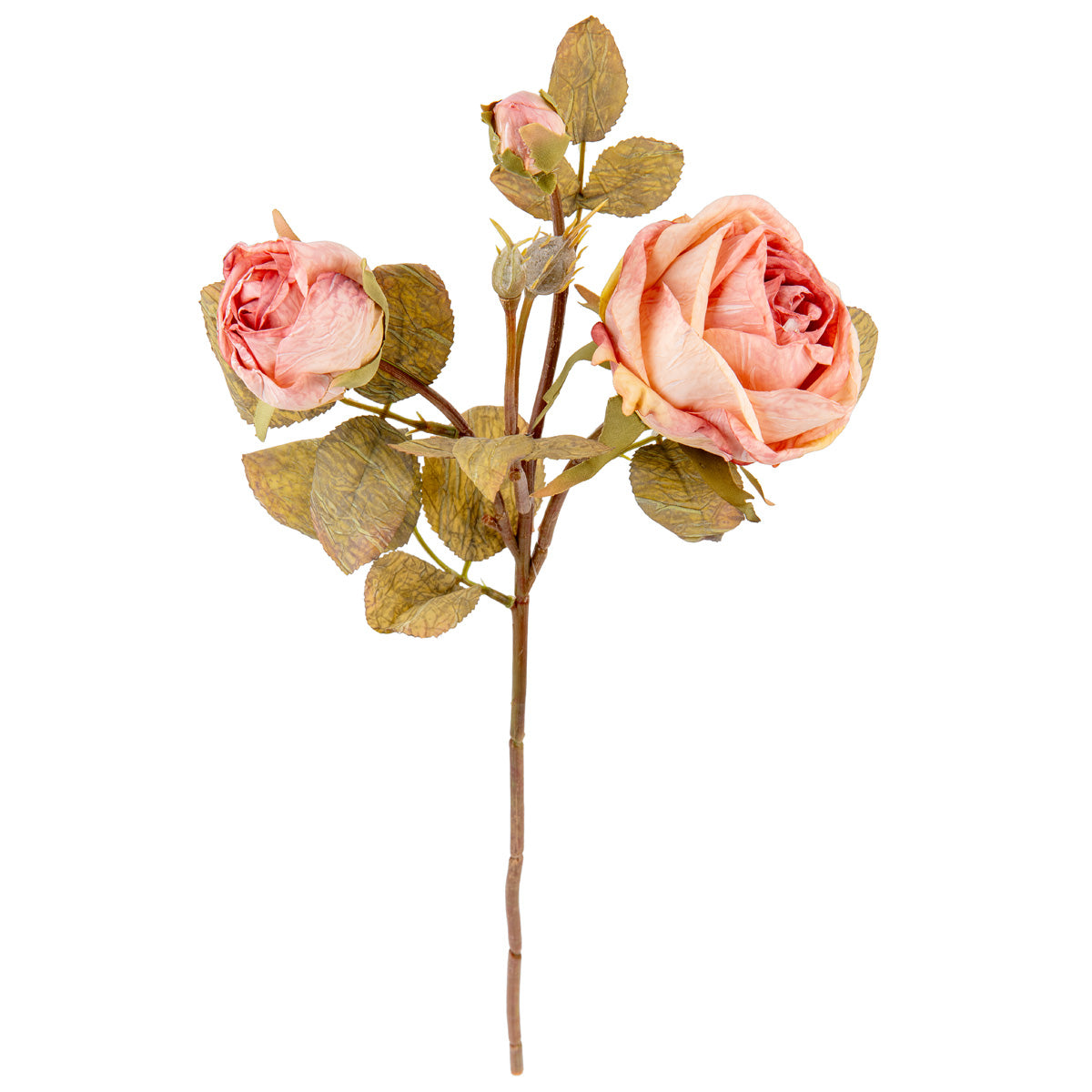 Dry Image Rose Spray Rose Quartz image 1