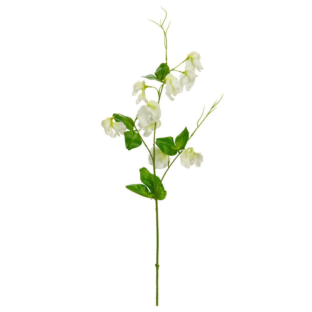 Sweet Pea Spray White image 0