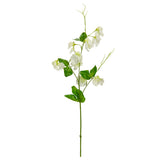 Sweet Pea Spray White image 0