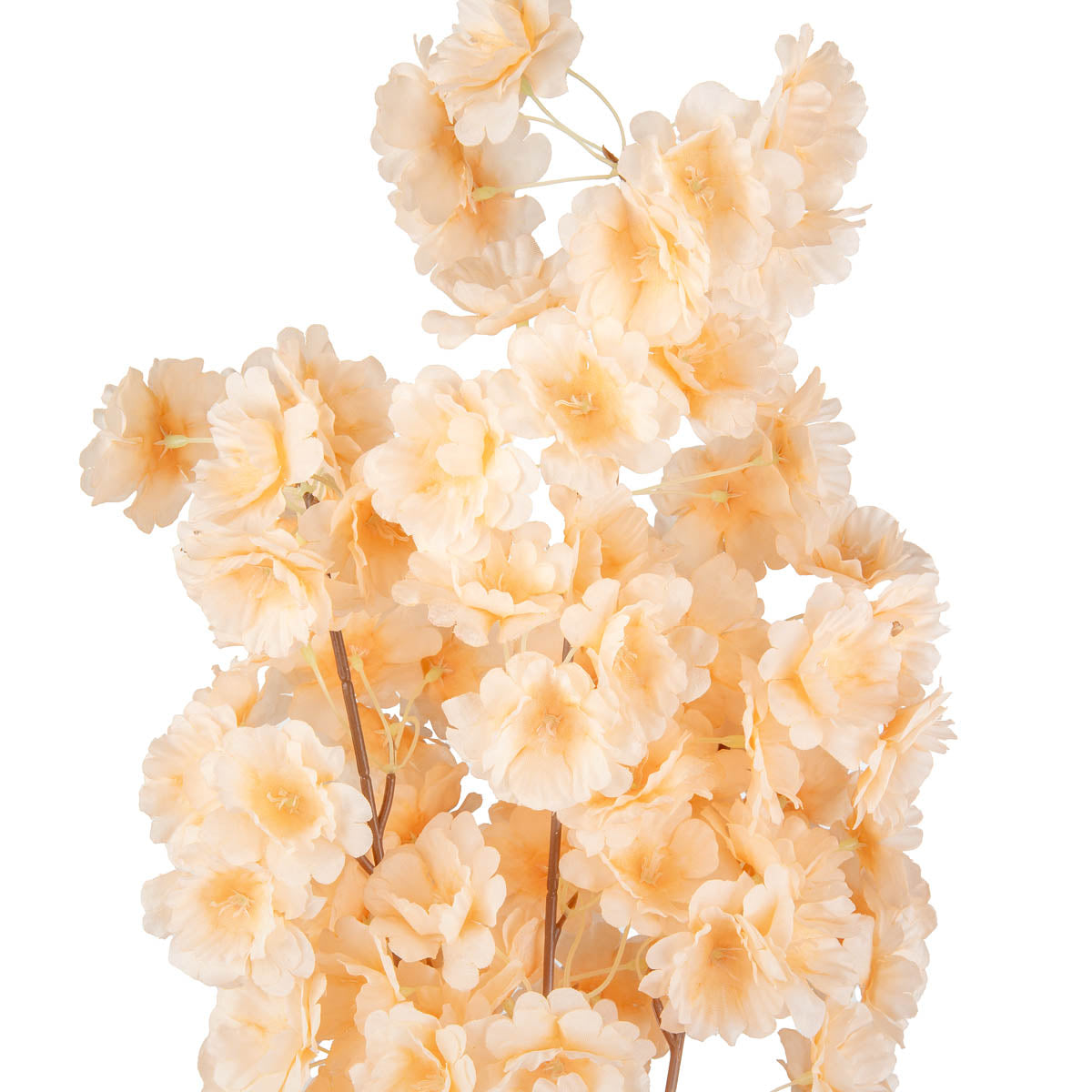 Blossom Spray Peach image 1