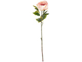 Aurora Peony x 1 Light Pink image 0