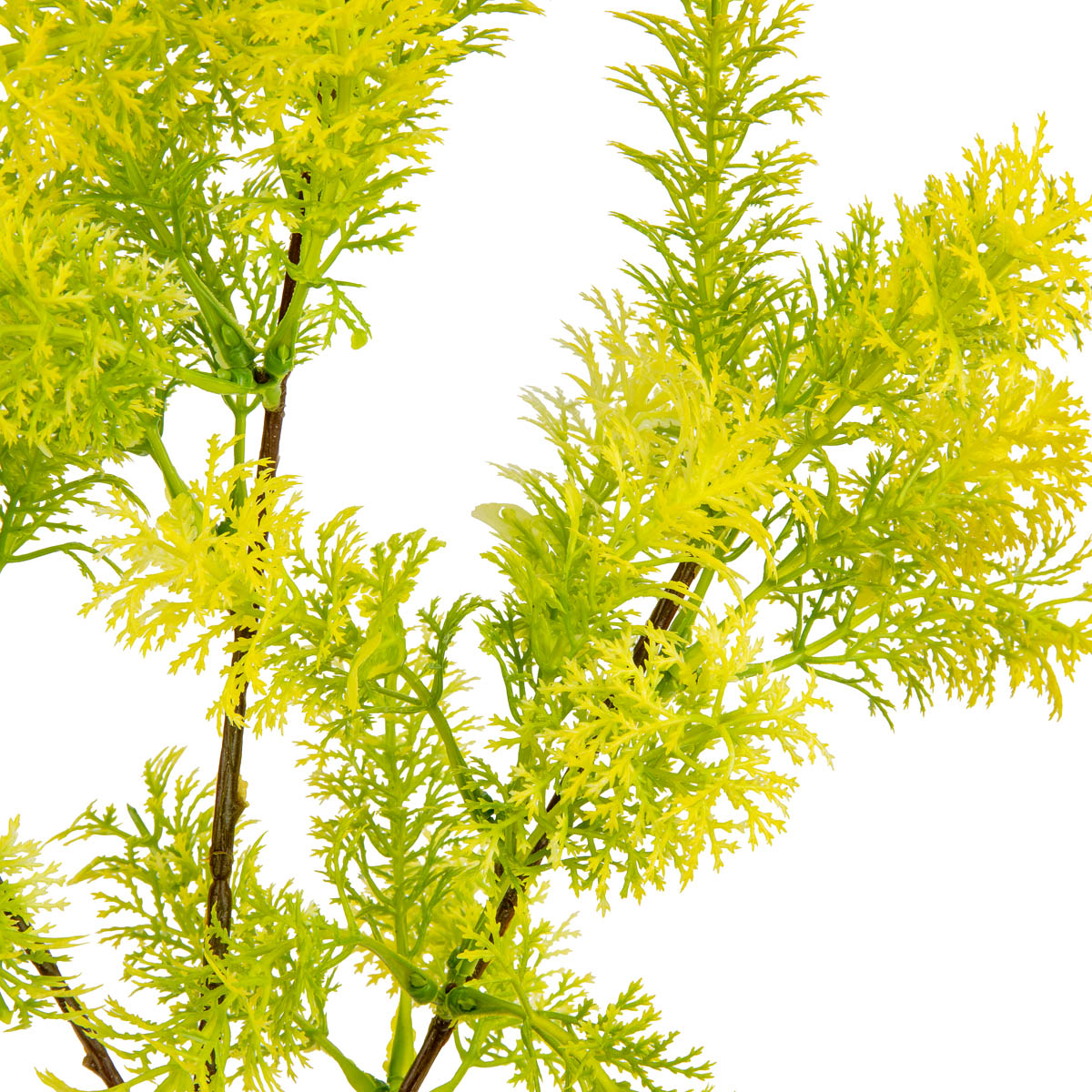 Foliage Spray 72cm Stem Light Green image 1