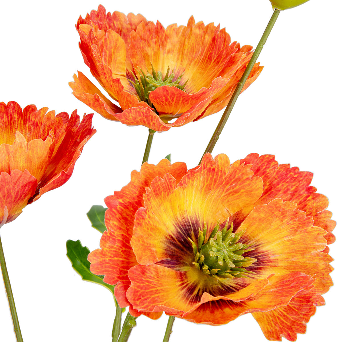 Small Poppy Spray Orange image 2