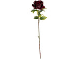 Aurora Peony x 1 Burgundy image 0
