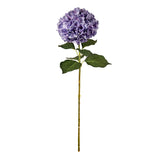 Large Head Hydrangea Lavender image 0