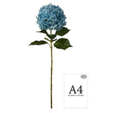 Large Head Hydrangea Light Blue 92cm image 1