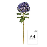 Large Head Hydrangea Purple Green image 1