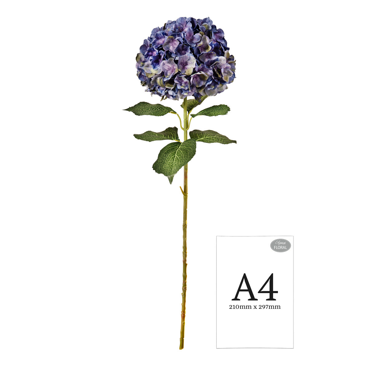 Large Head Hydrangea Purple Green image 1