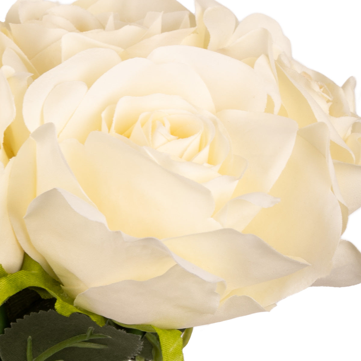 Eugenie Rose Bunch x 6 Cream image 2