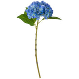 Small Head Hydrangea Blue image 0