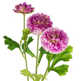 Oriental Aster Spray x 3 Light Purple image 1