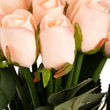 Beatrice Rose Bud Bunch x 15 Champagne image 2