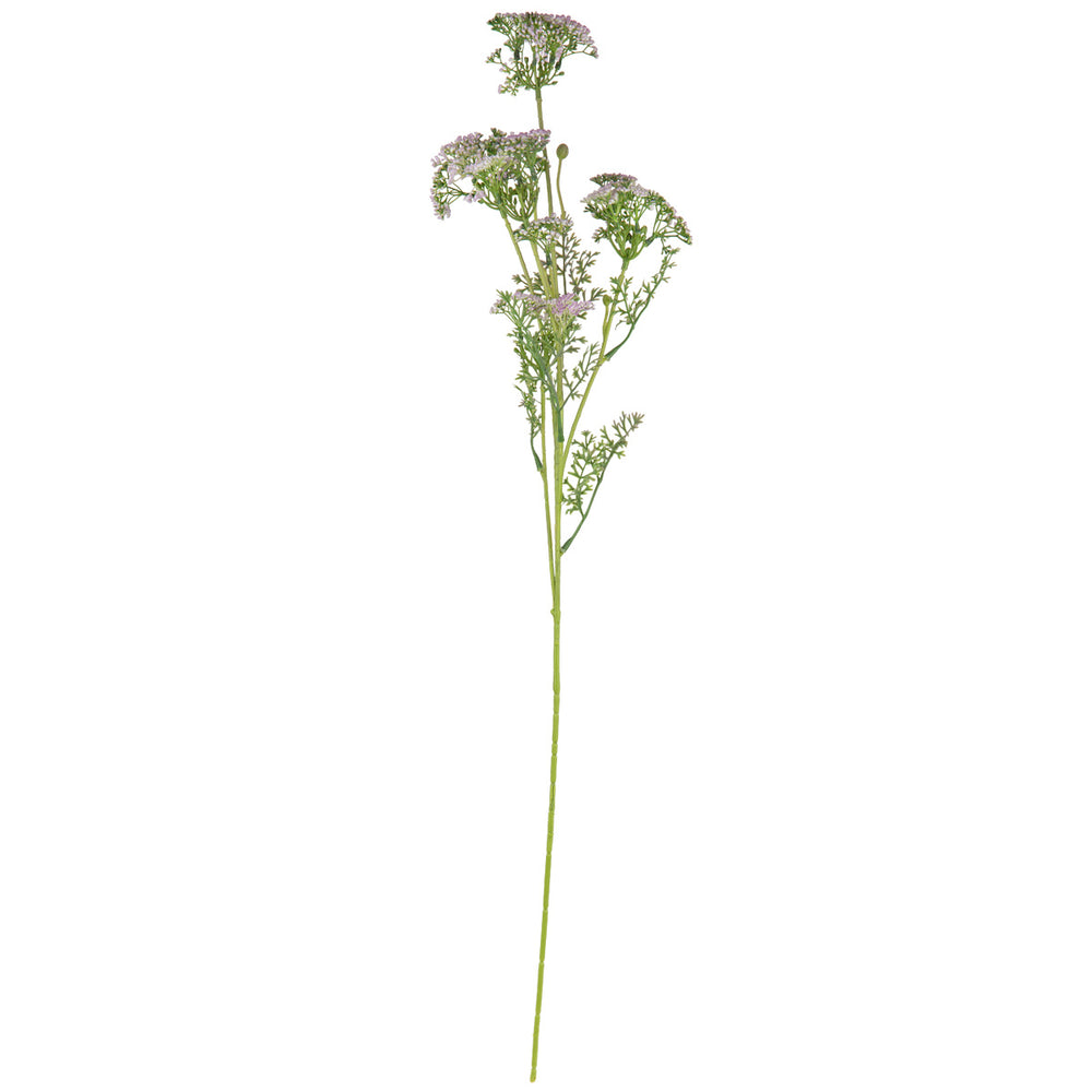 Lady Lace Spray Purple image 0
