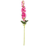 Delphinium x 26 Heads 106cm Beauty image 0
