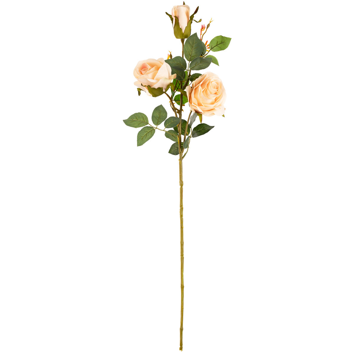 Large Charlotte Rose Spray x 3 Nude image 0
