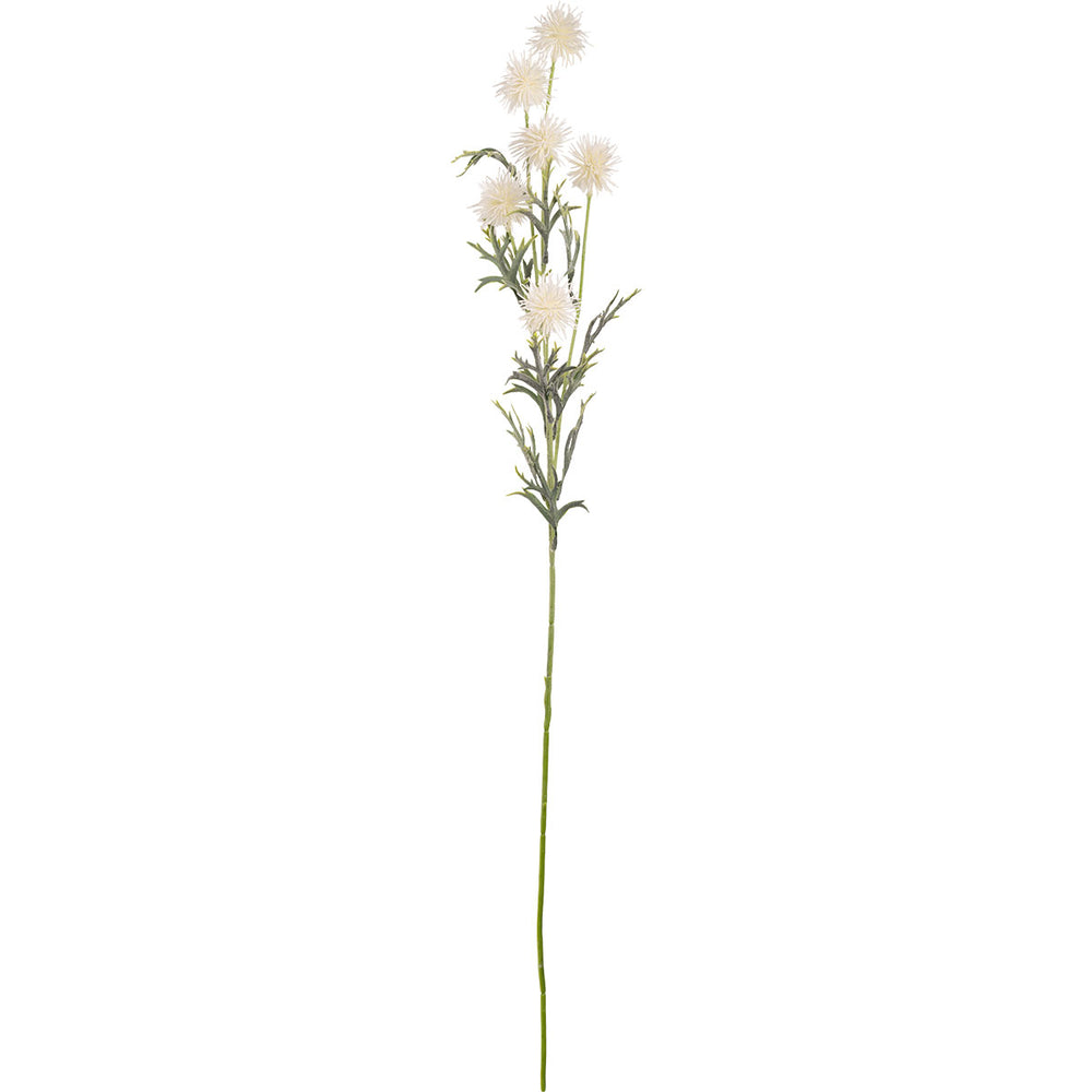 Collina Thistle Spray 80cm White image 0
