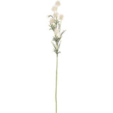 Collina Thistle Spray 80cm White image 0
