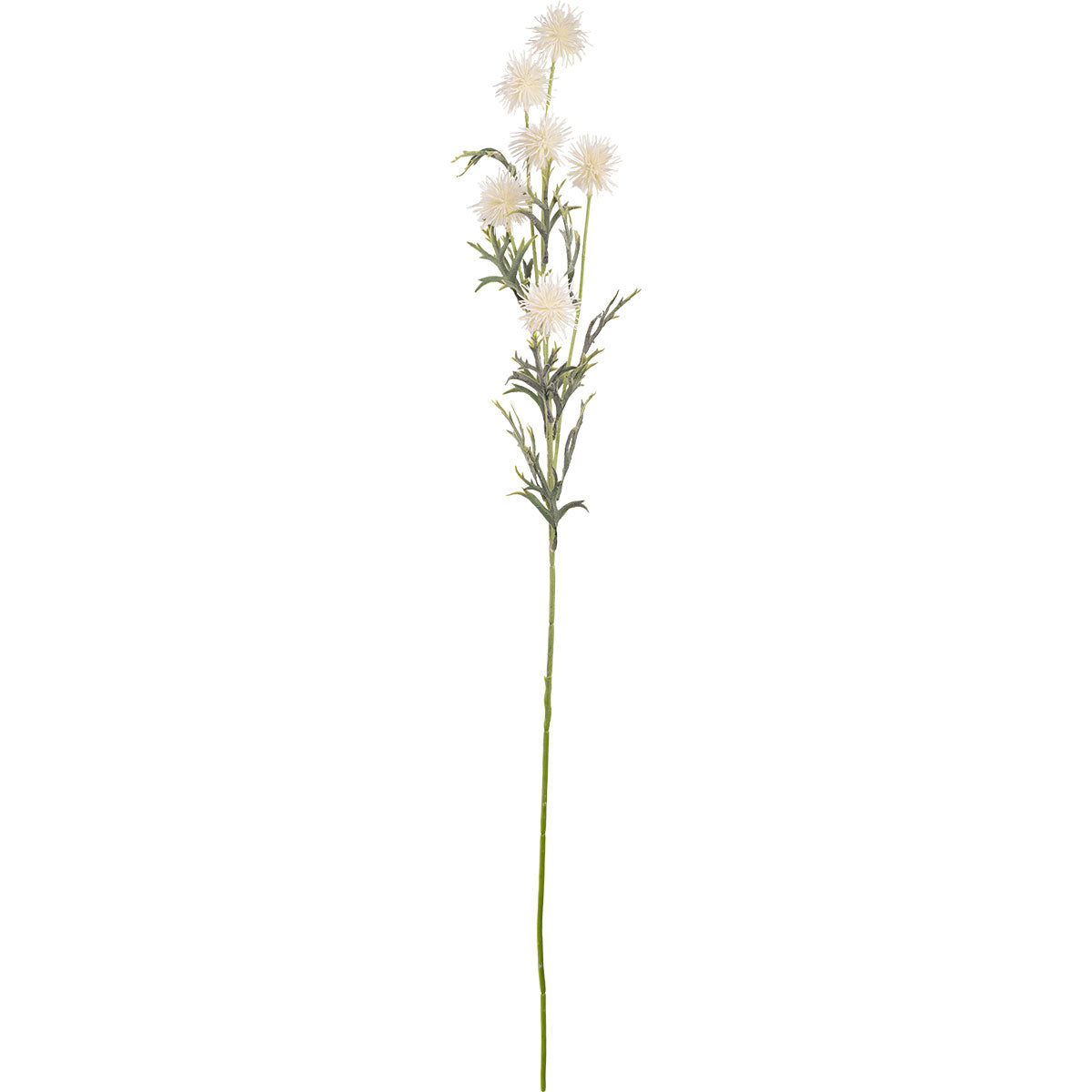 Collina Thistle Spray 80cm White image 0