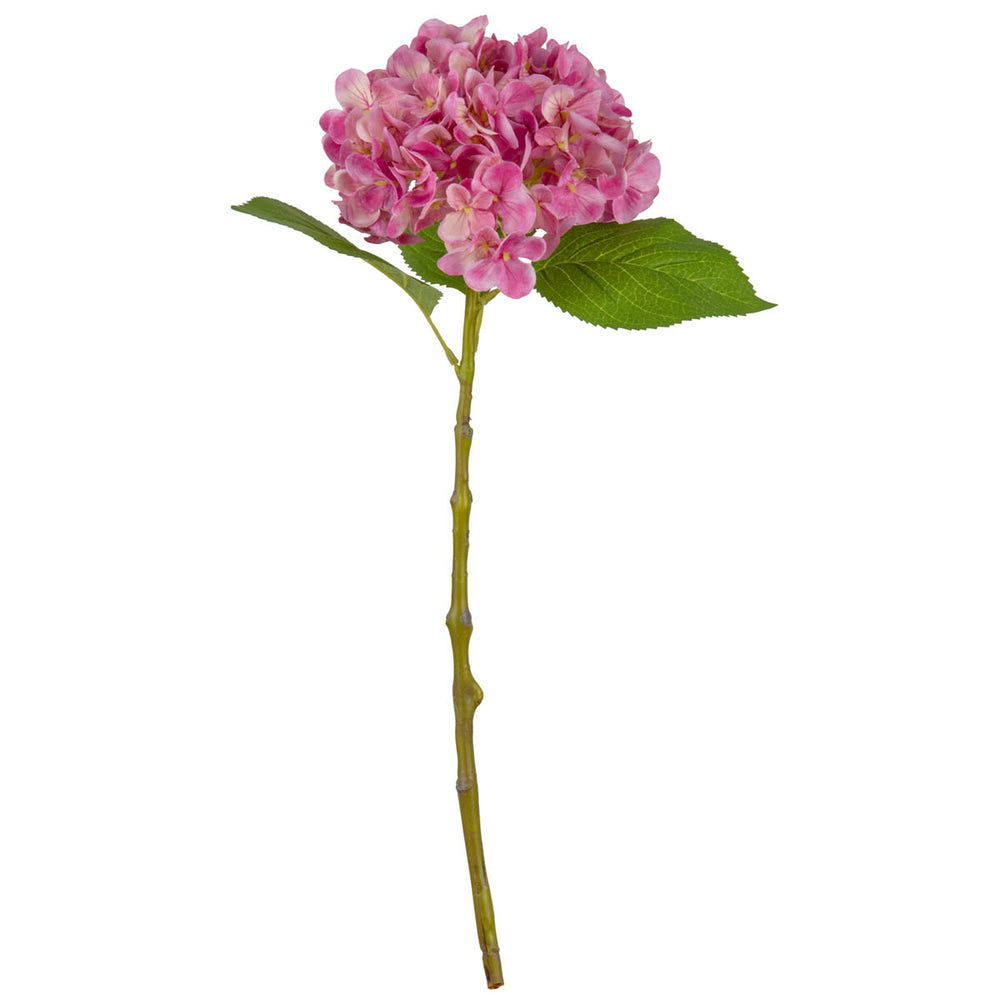Small Head Hydrangea Pretty Pink image 0